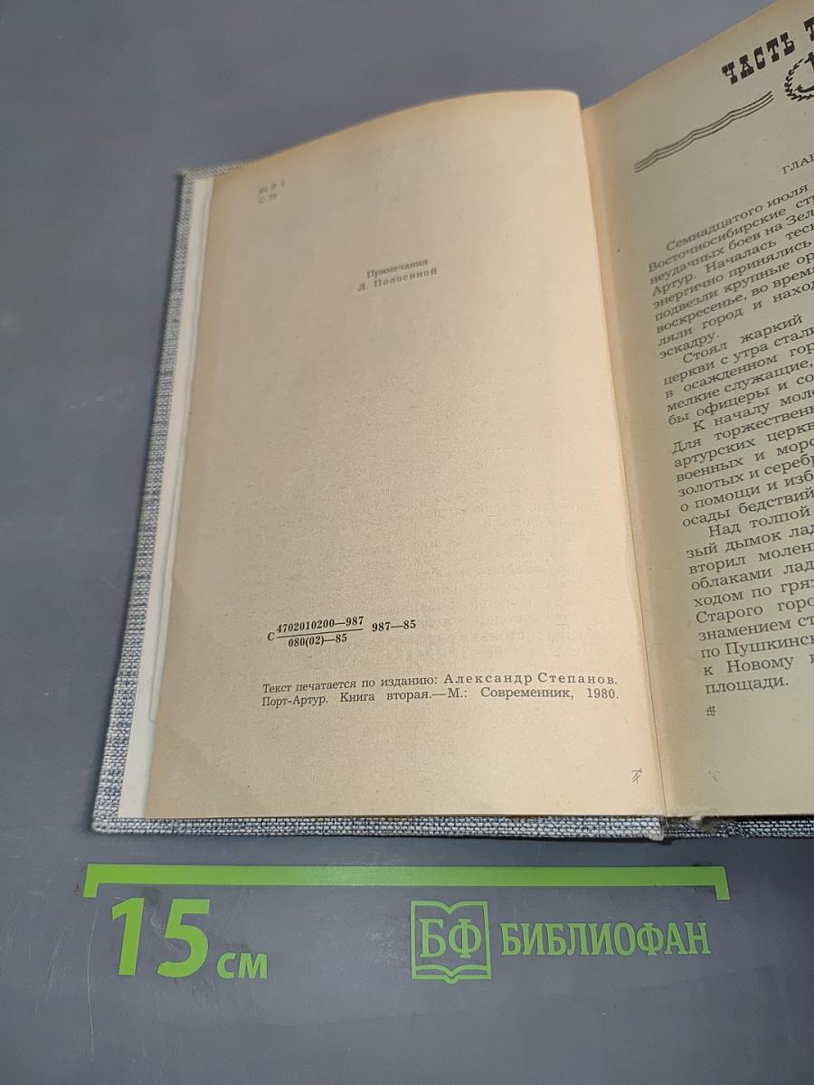 Порт-Артур. Роман в двух книгах. Книга вторая