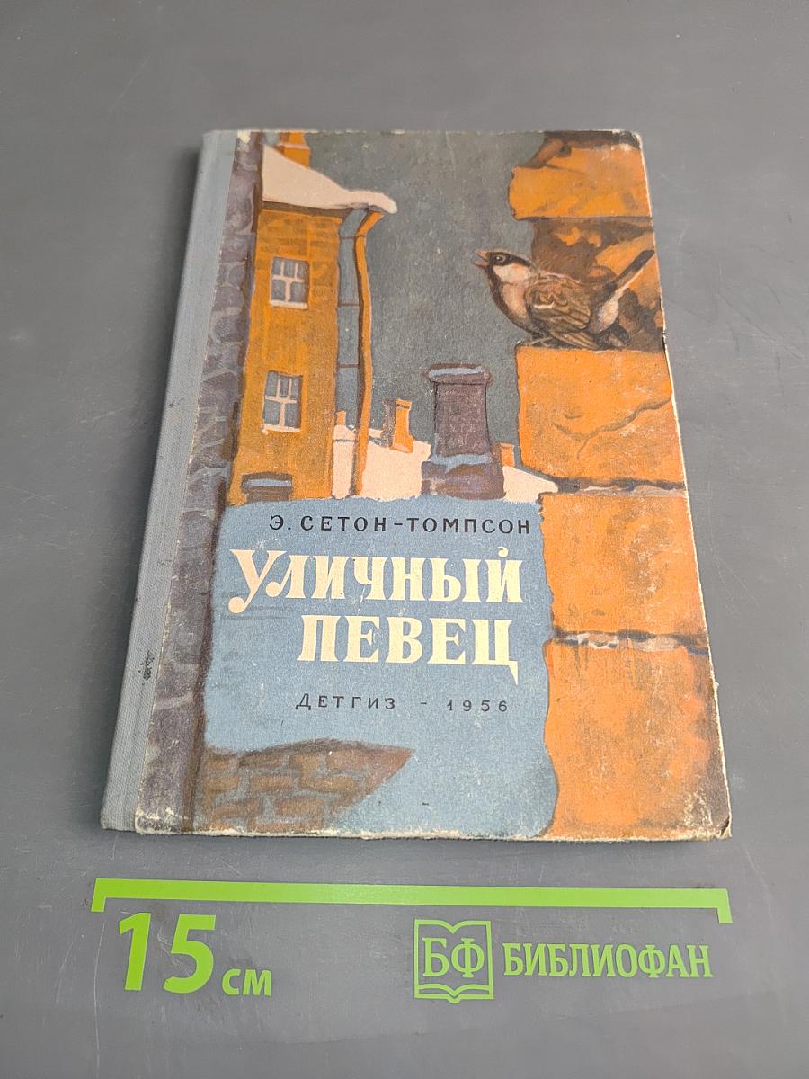 Уличный певец