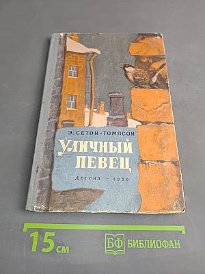 Уличный певец