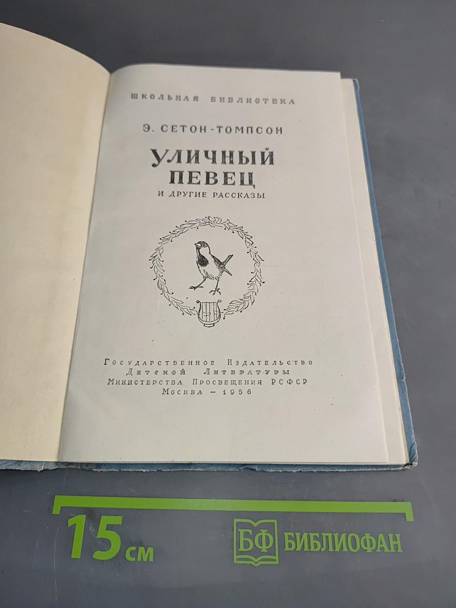 Уличный певец