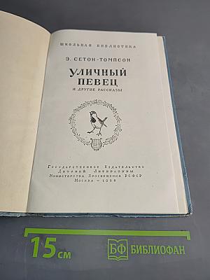 Уличный певец