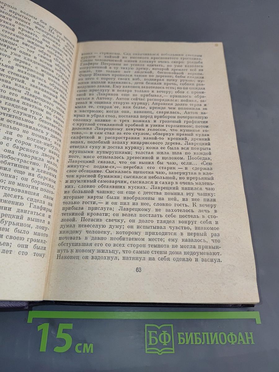 Сочинения. Том шестой. Дворянское гнездо. Накануне. Первая любовь
