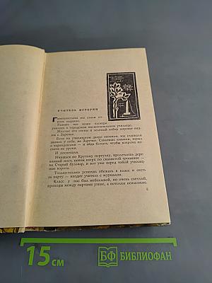Старая крепость. Трилогия. Книга первая и вторая