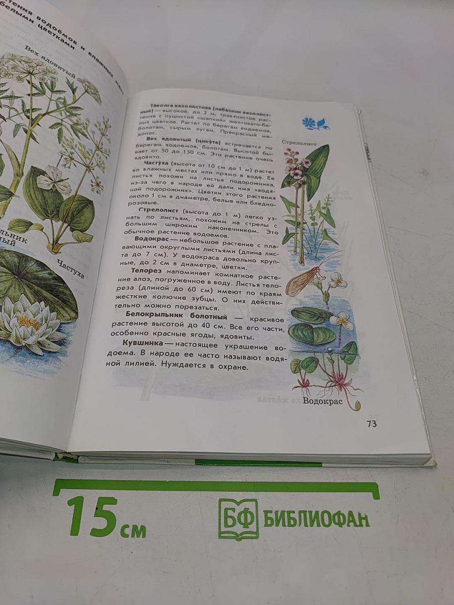 От земли до неба. Атлас-определитель