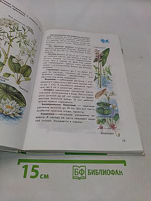 От земли до неба. Атлас-определитель