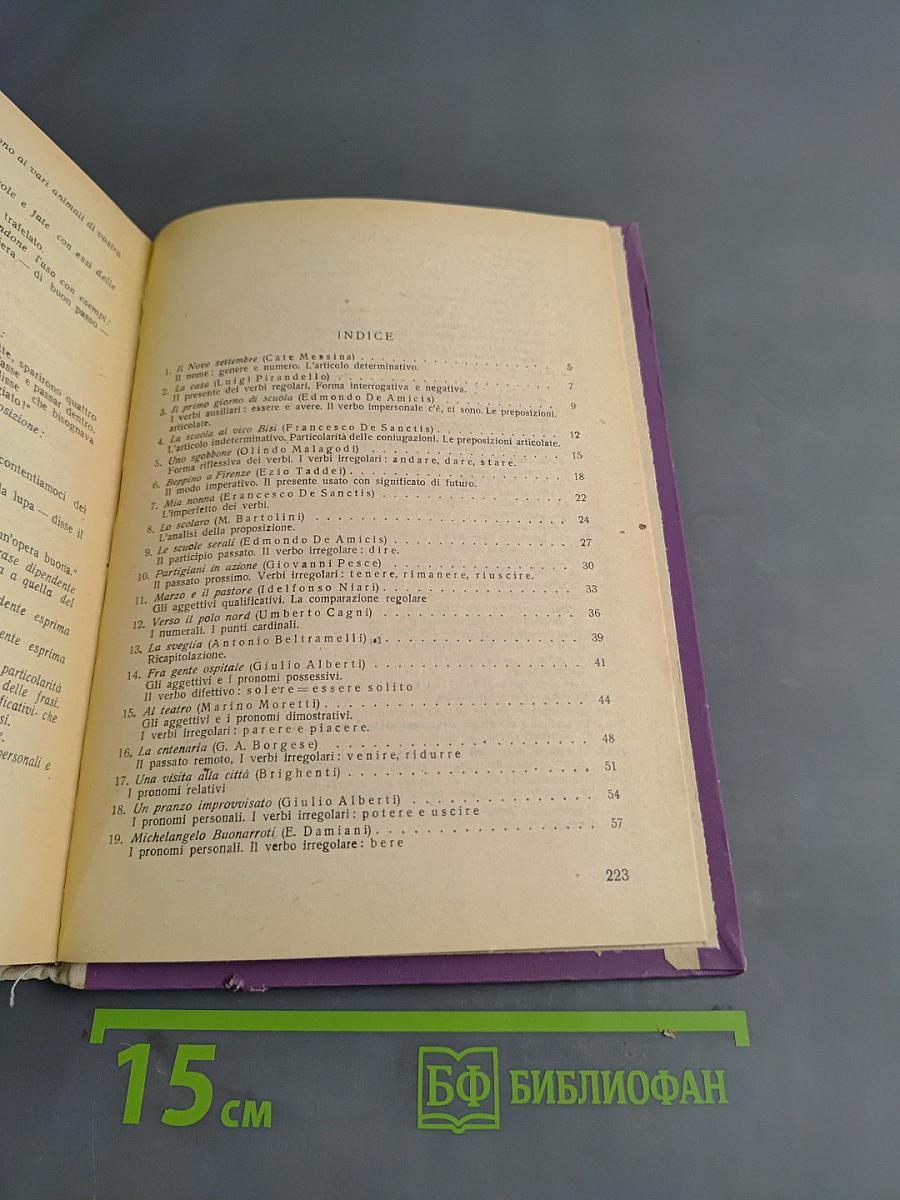 Manuale di lingua italiana