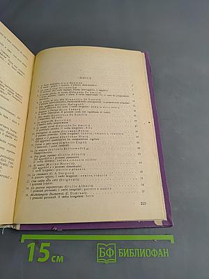 Manuale di lingua italiana