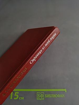 Страницы из моей жизни