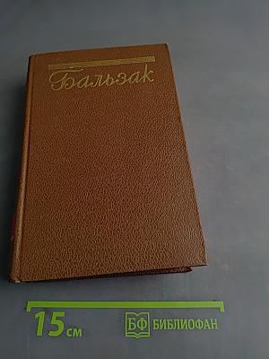 Человеческая комедия. Сцены политической жизни. Том 11