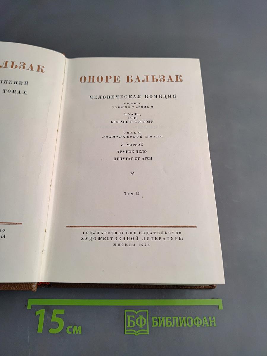 Человеческая комедия. Сцены политической жизни. Том 11