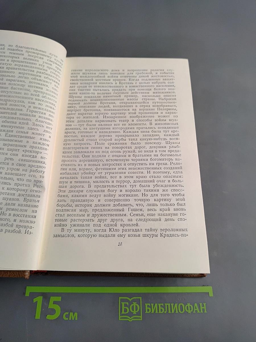 Человеческая комедия. Сцены политической жизни. Том 11