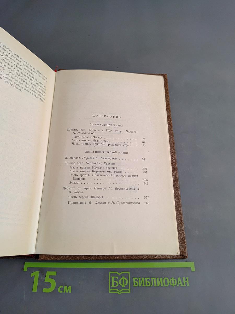 Человеческая комедия. Сцены политической жизни. Том 11