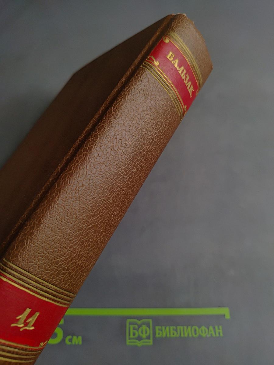 Человеческая комедия. Сцены политической жизни. Том 11