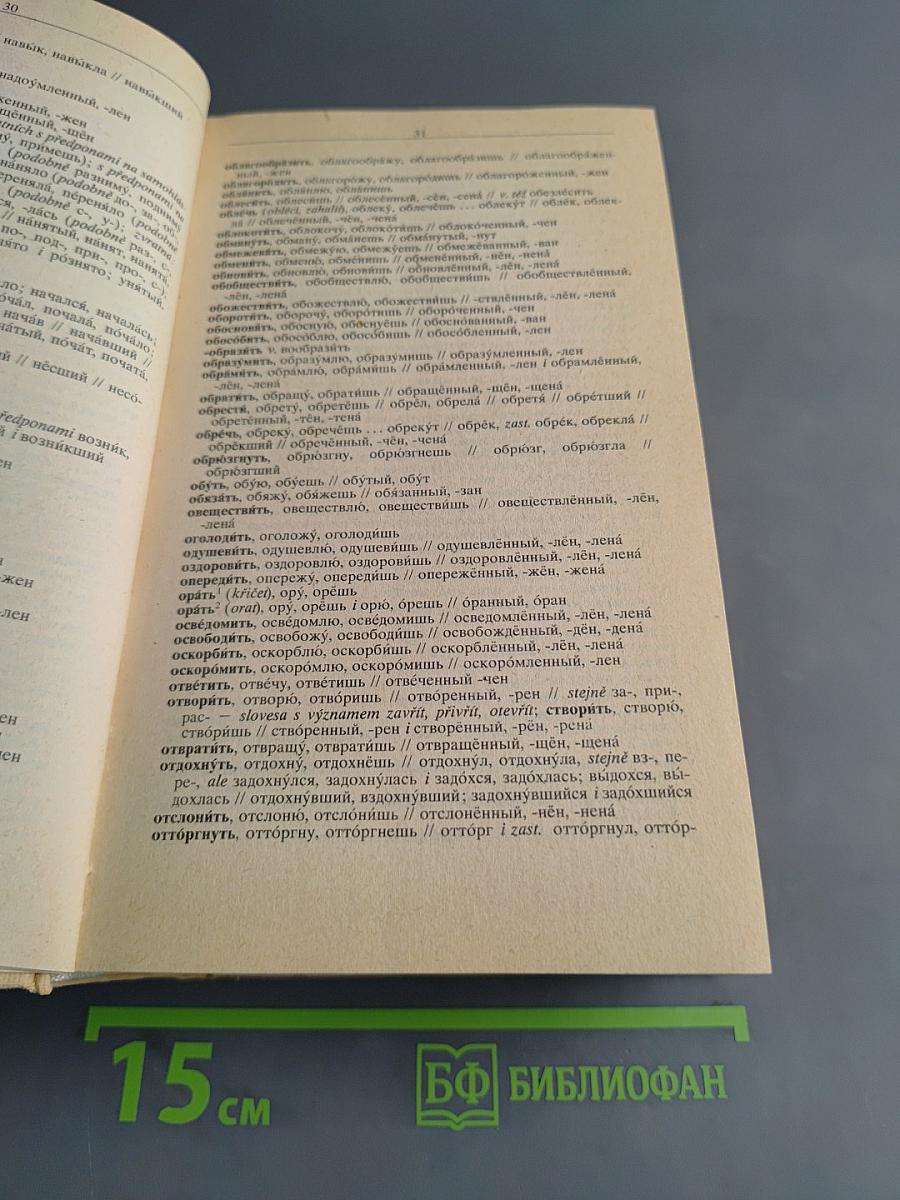 Русско-чешский и чешско-русский словарь