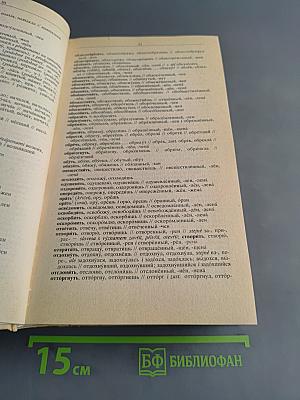 Русско-чешский и чешско-русский словарь