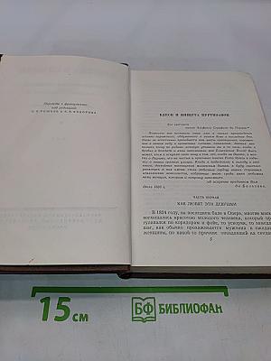 Человеческая комедия. Сцены парижской жизни. Том 9