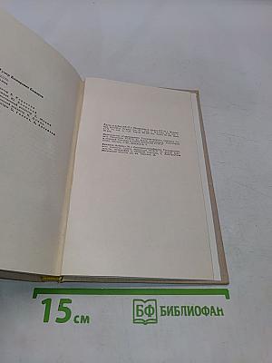 Честь