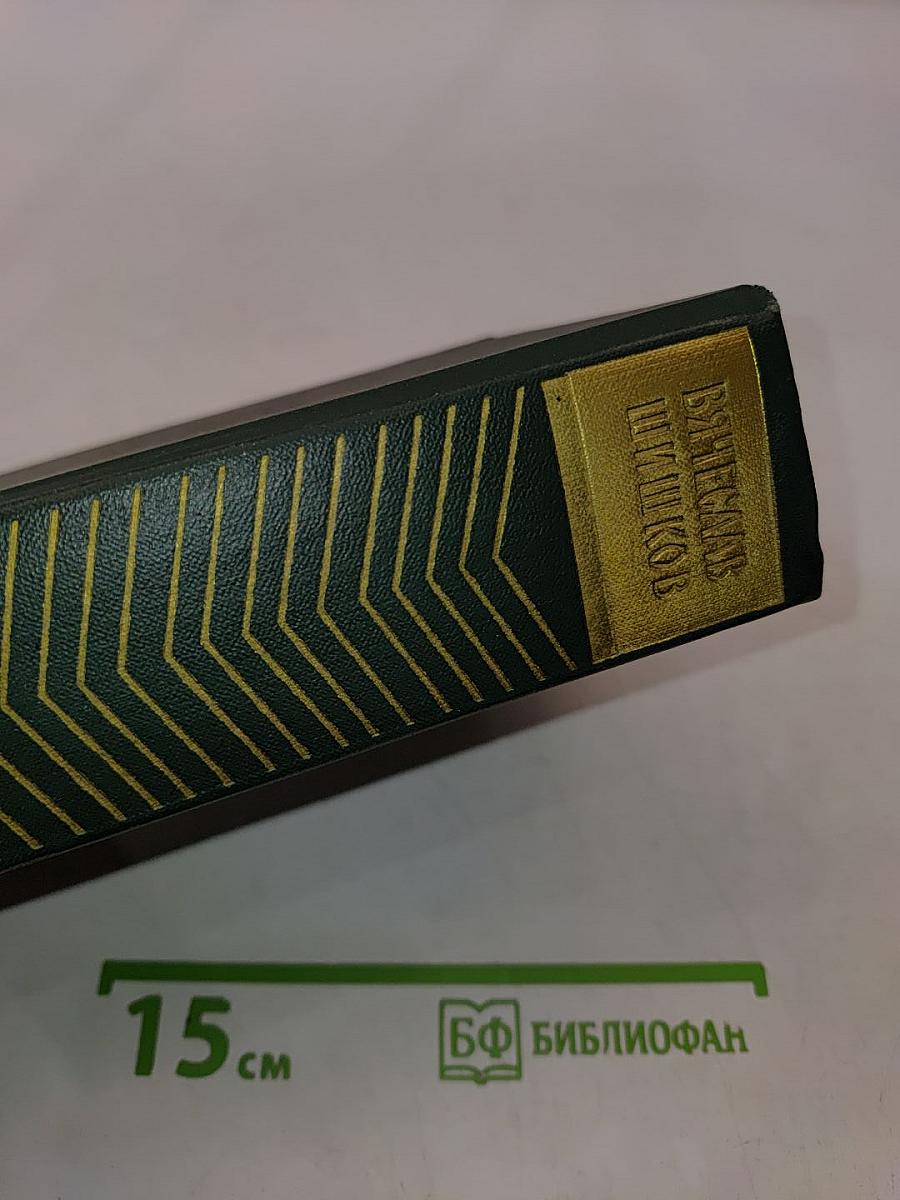 Собрание сочинений. Том шестой. Емельян Пугачев. Историческое повествование. Книга первая