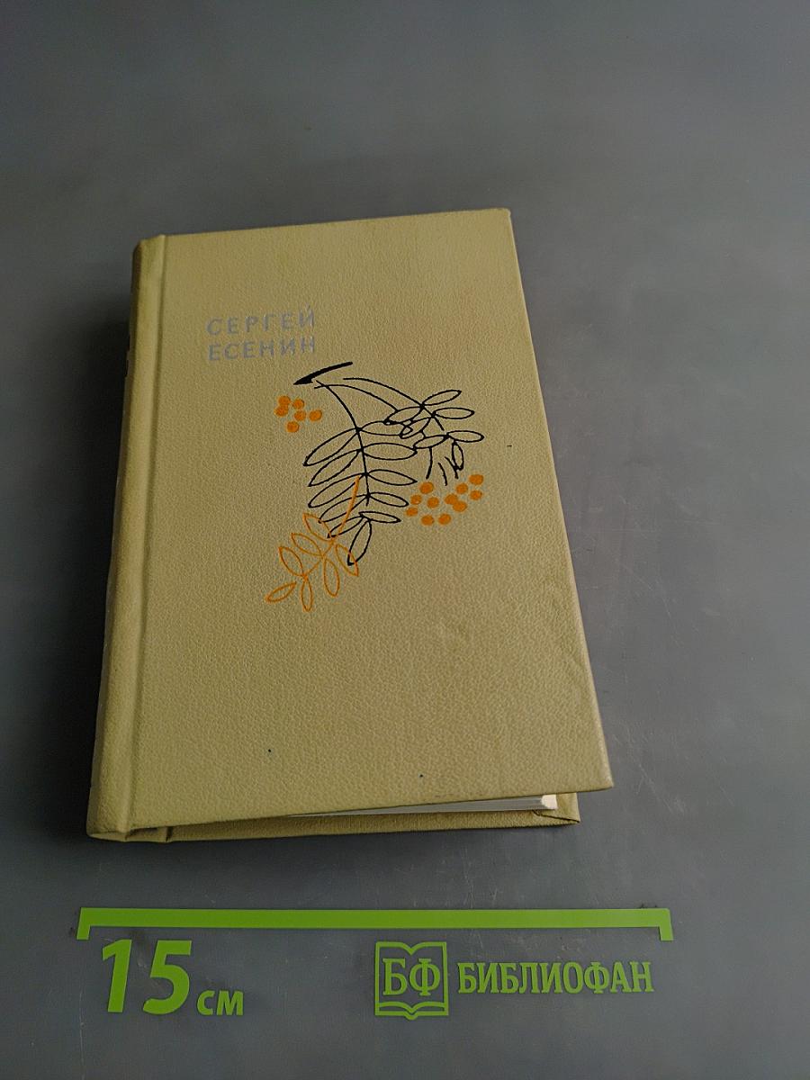 Словесник рек кипенье и шорох. Стихи и поэмы