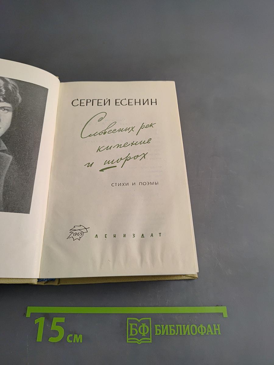 Словесник рек кипенье и шорох. Стихи и поэмы