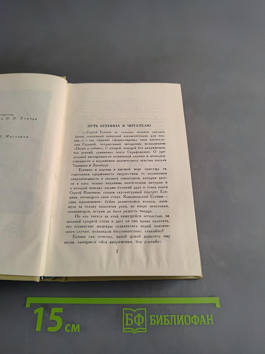 Словесник рек кипенье и шорох. Стихи и поэмы
