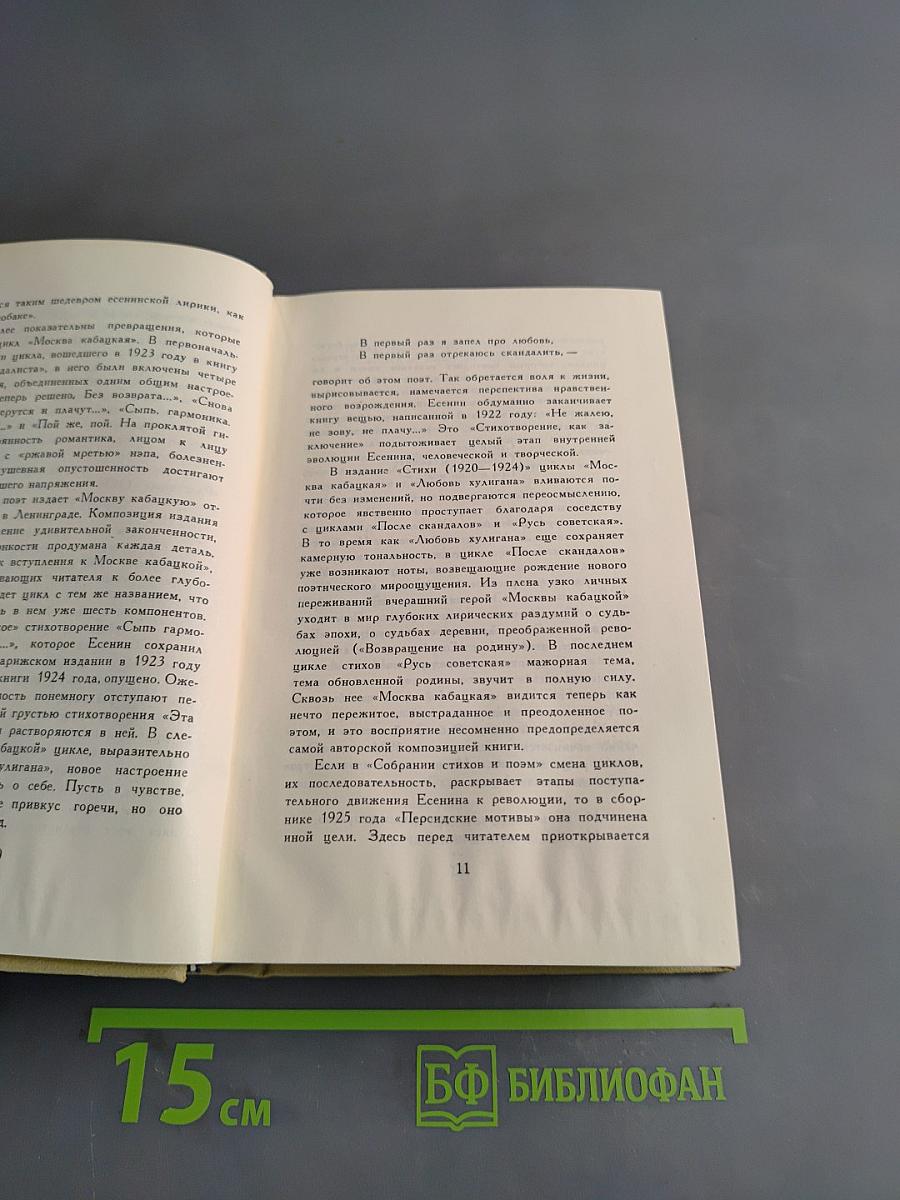 Словесник рек кипенье и шорох. Стихи и поэмы