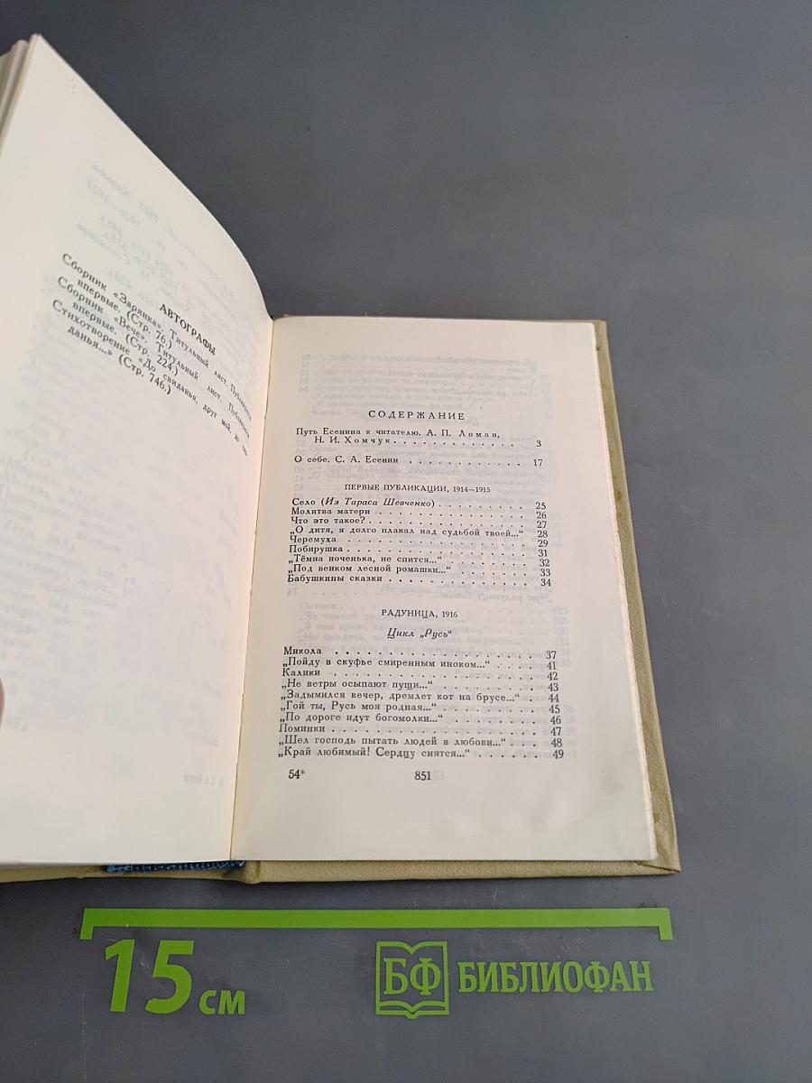 Словесник рек кипенье и шорох. Стихи и поэмы