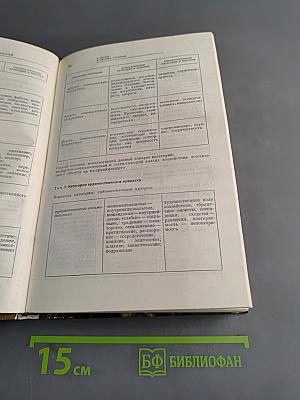 Эстетика