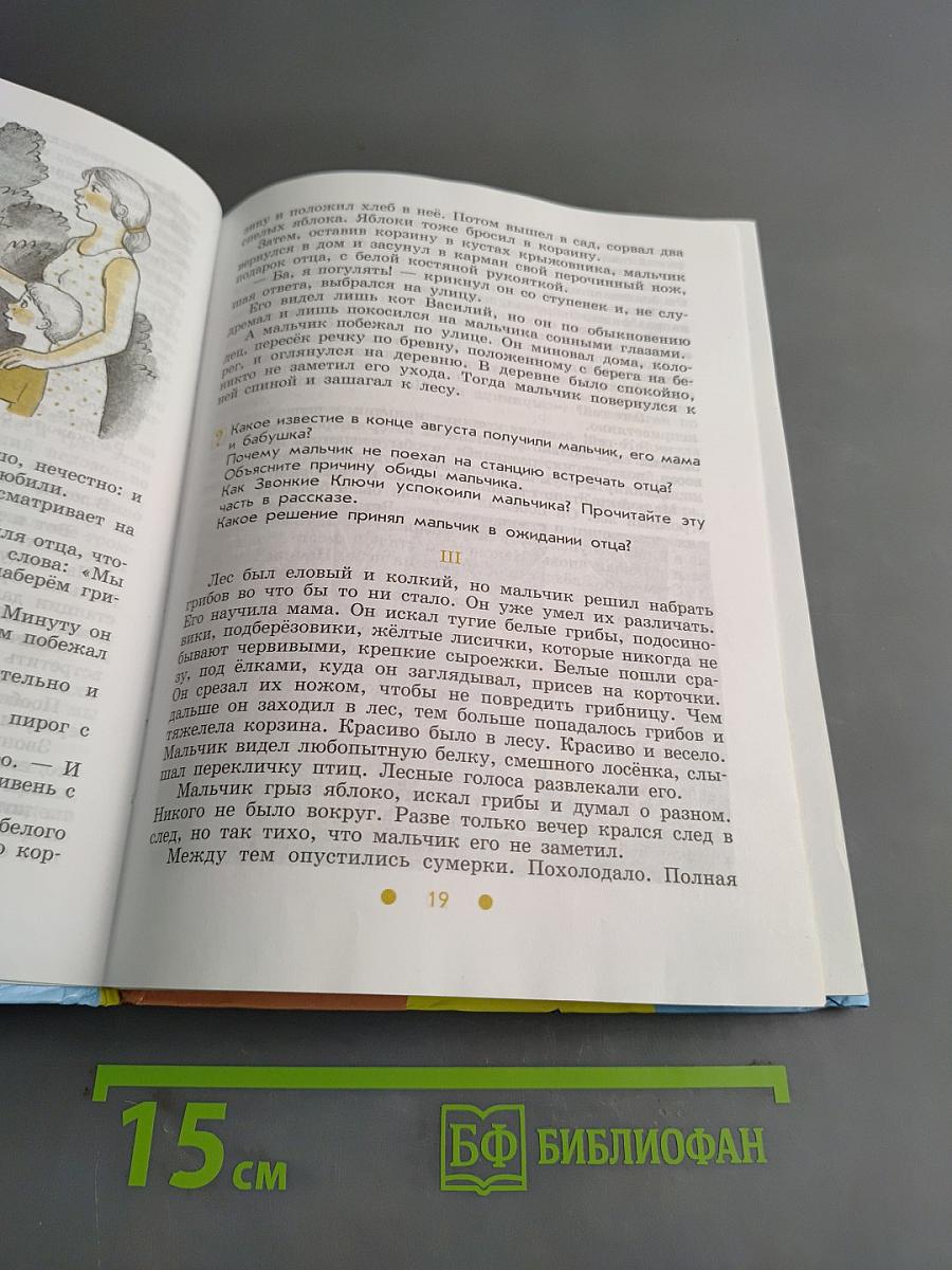 Чтение. 6 класс