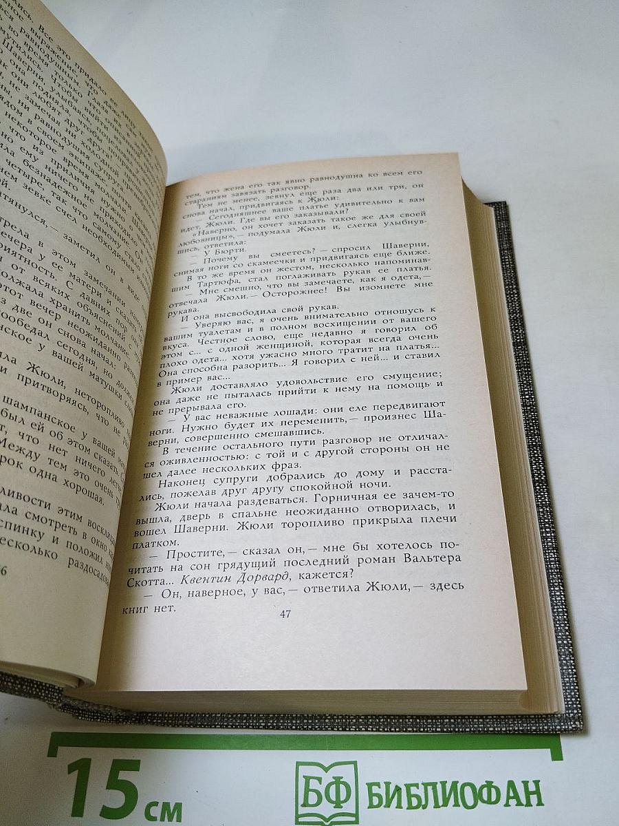 Избранное: Новеллы, Хроника царствования Карла IX