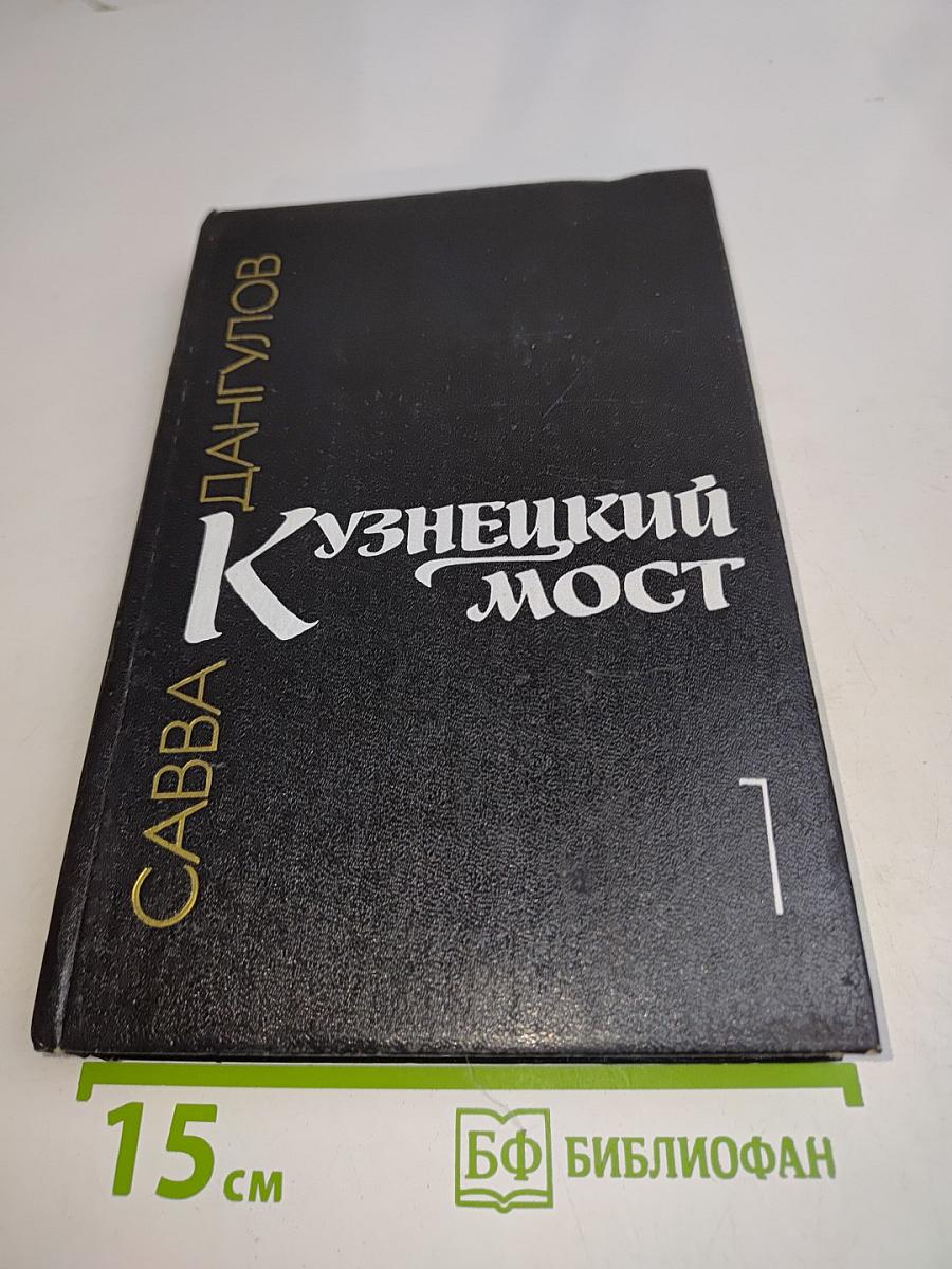 Кузнецкий мост. Книга первая