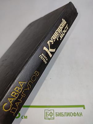 Кузнецкий мост. Книга первая