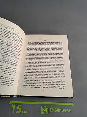 Шепот Земли и молчание Неба