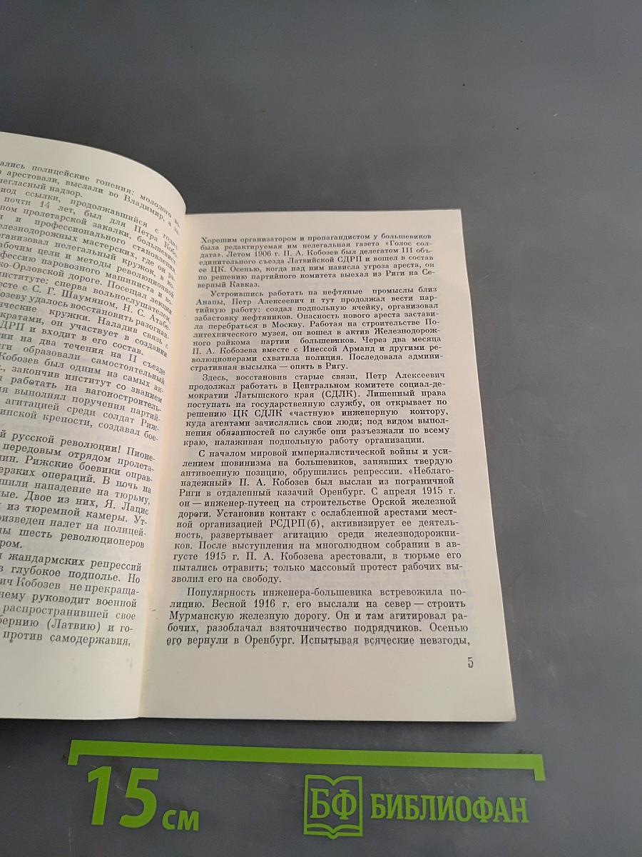 Посланец партии
