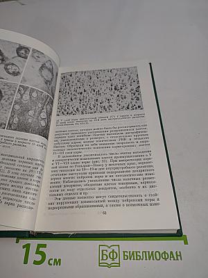 Перинатальная патология
