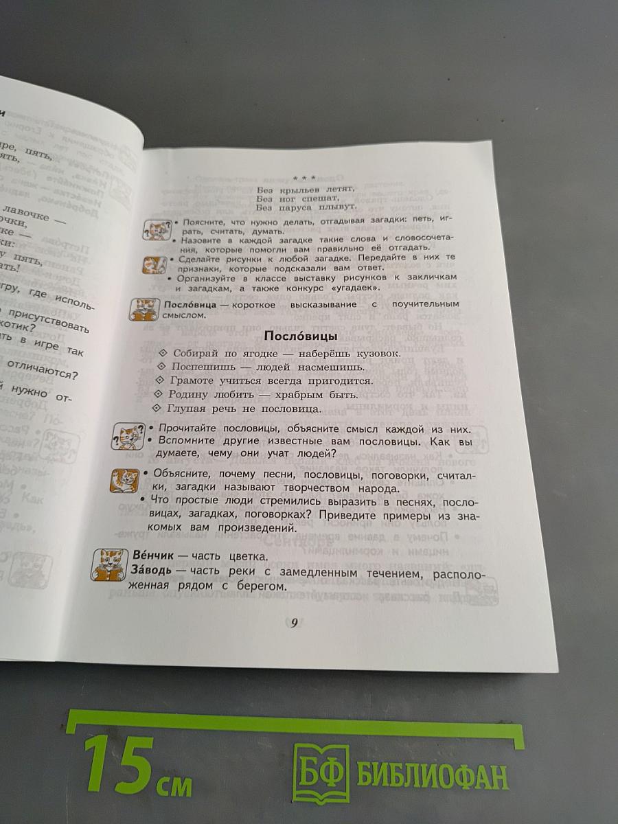 Чтение. Учебник для 5 класса специальных (коррекционных) образовательных учреждений VIII вида
