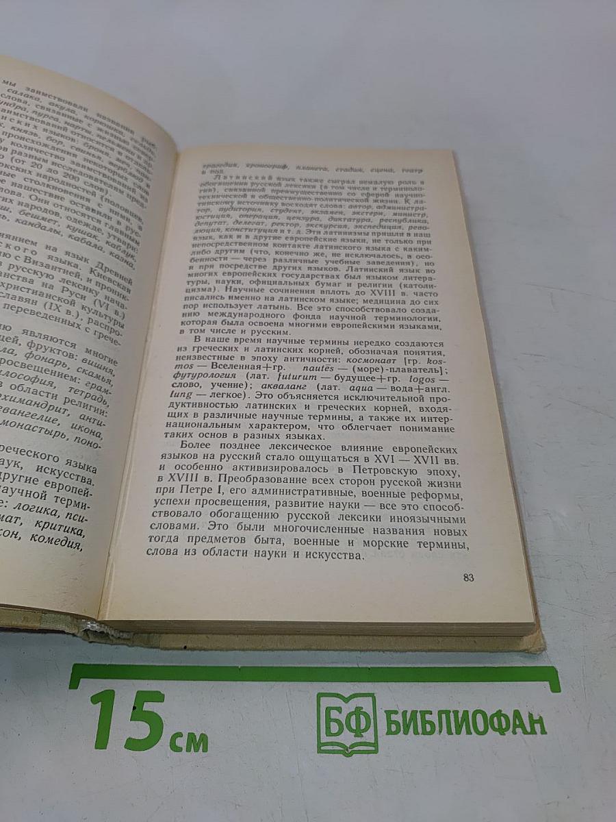 Современный русский язык. Пособие для заочников