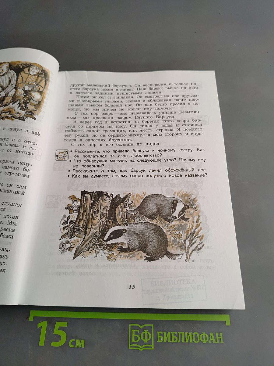 Чтение. Учебник для 5 класса специальных (коррекционных) образовательных учреждений VIII вида