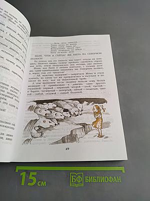 Чтение. Учебник для 5 класса специальных (коррекционных) образовательных учреждений VIII вида