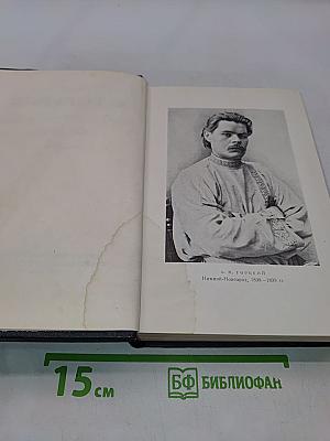 Собрание сочинений в тридцати томах. Том 3. Рассказы 1896-1899