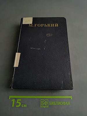 Пьесы. Том 12
