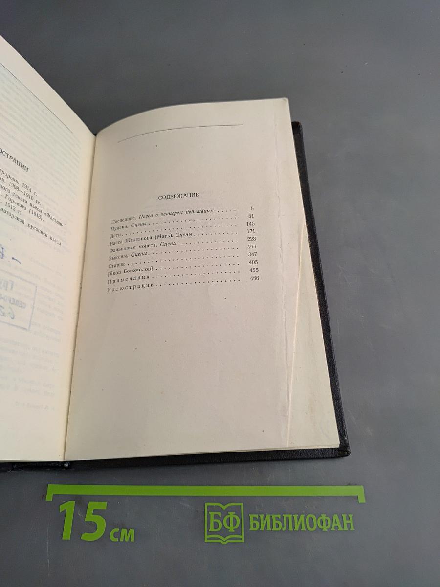 Пьесы. Том 12
