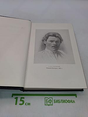 Собрание сочинений в тридцати томах. Том 28. Письма, телеграммы, надписи 1889 - 1906