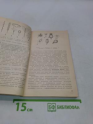 Цветы в вашем доме