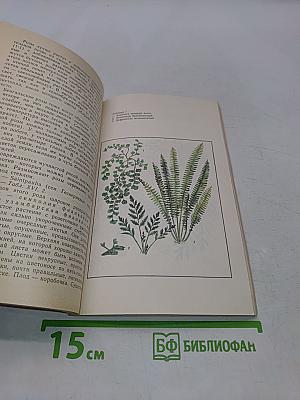 Цветы в вашем доме