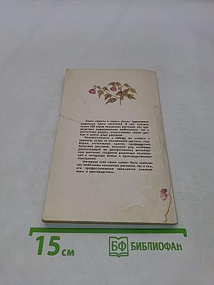 Цветы в вашем доме