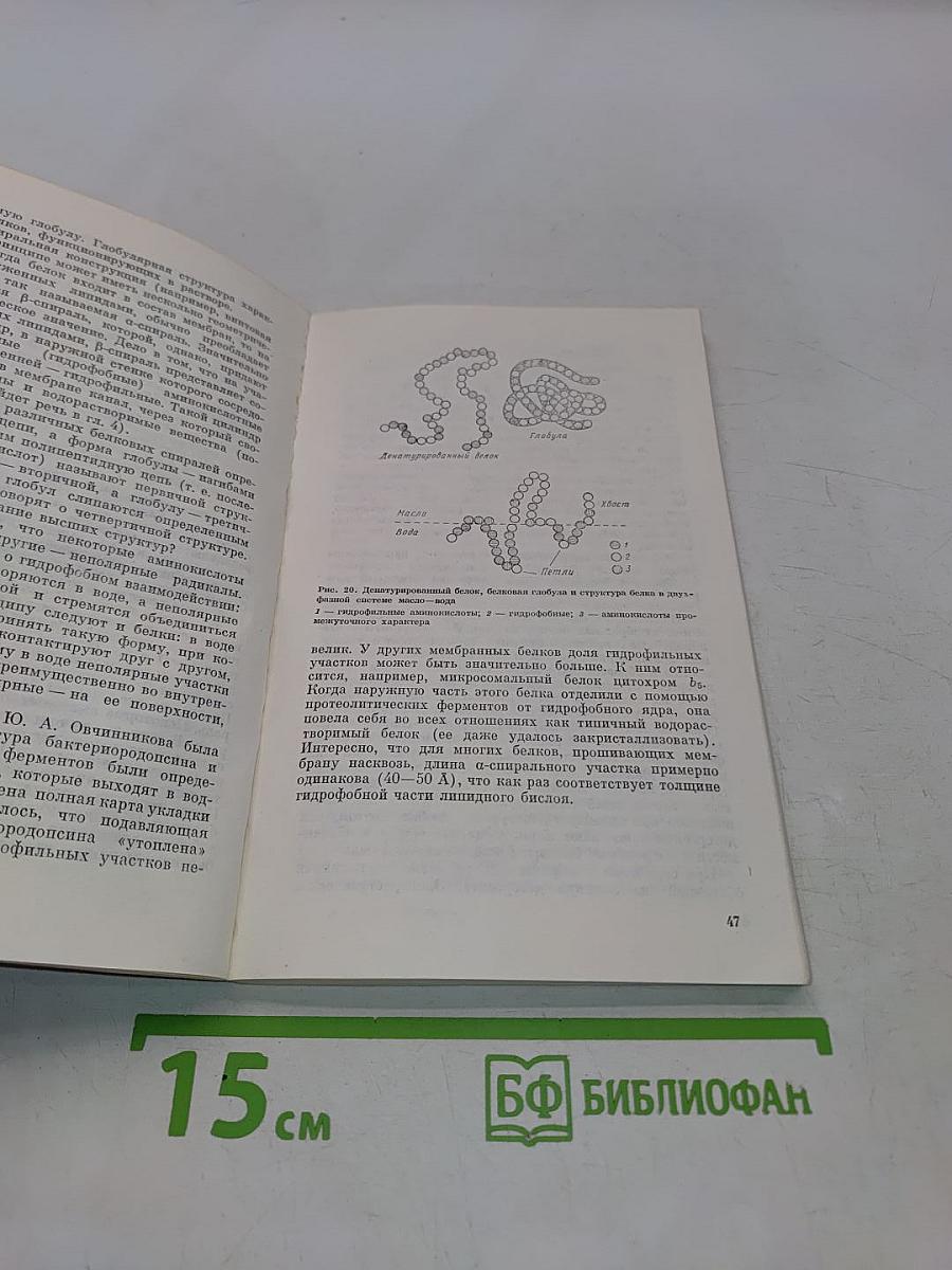Мембраны, молекулы, клетки