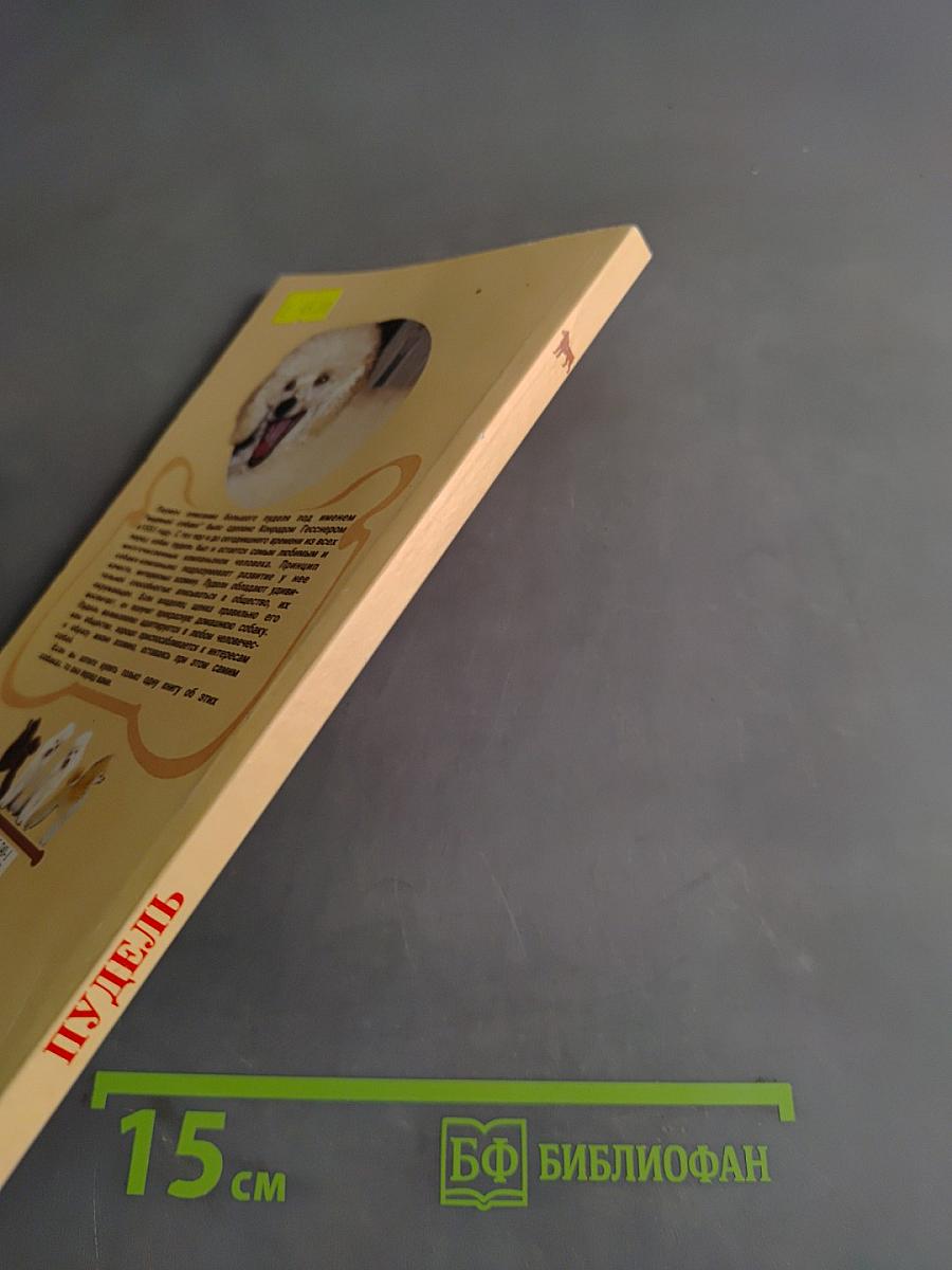 Пудель