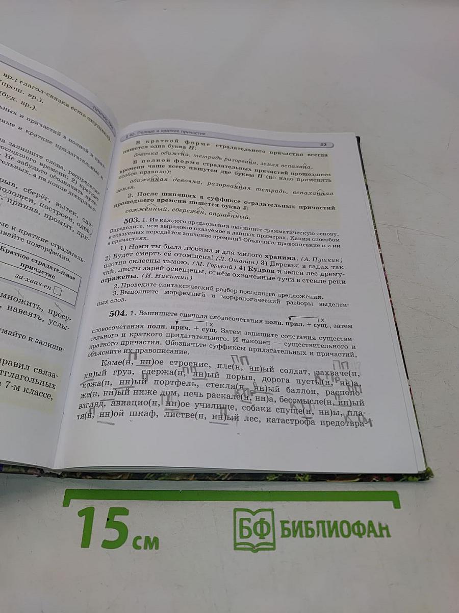 Русский язык. Учебник. 6 класс. Часть 2