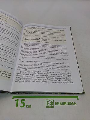 Русский язык. Учебник. 6 класс. Часть 2